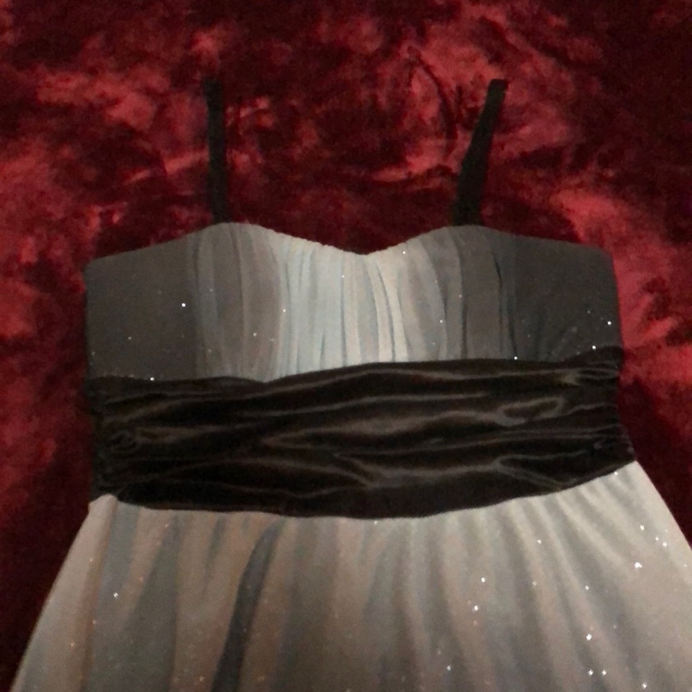 Kathy Roberts dress size 10